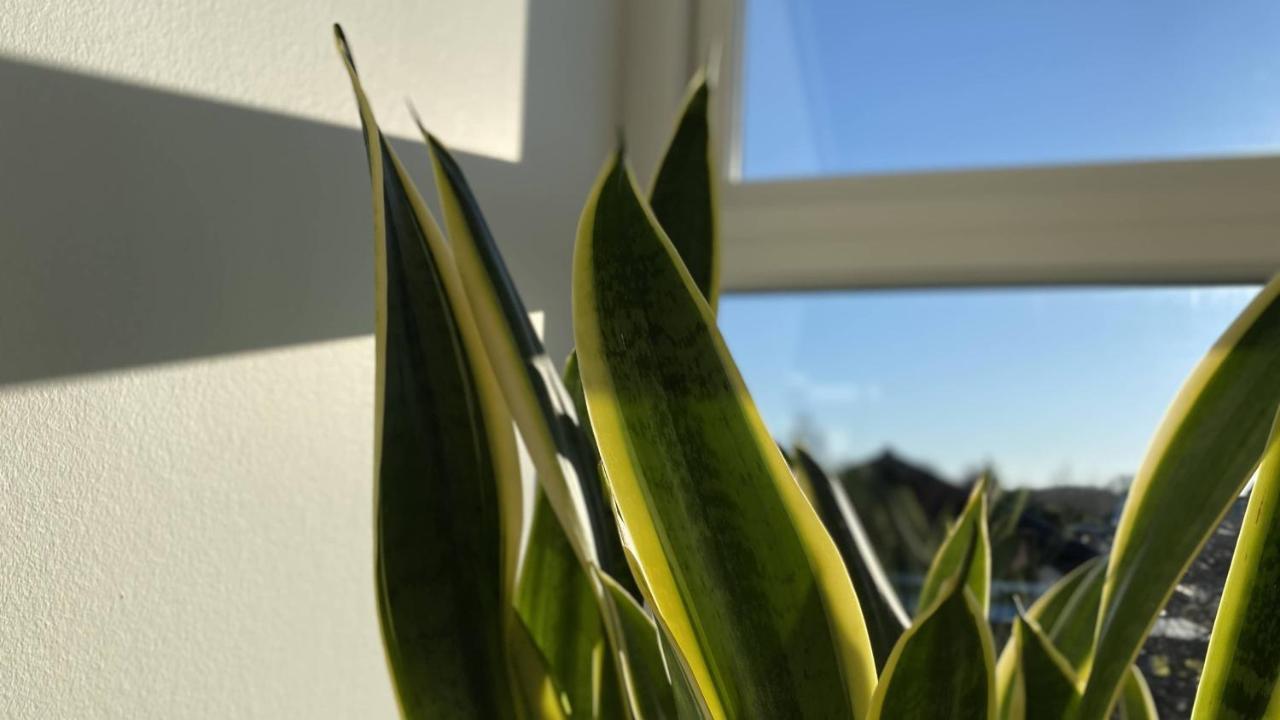 Villa Soholt - Silkeborg Bed And Breakfast Exterior foto